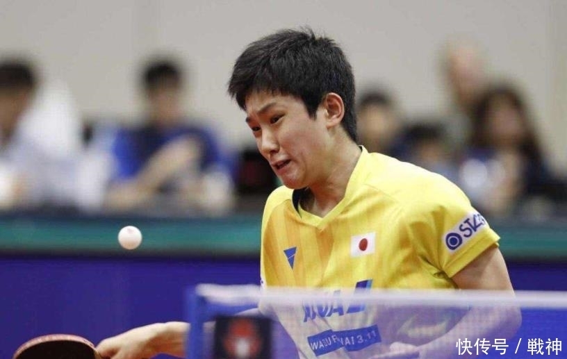 表现有望继 表现有望继