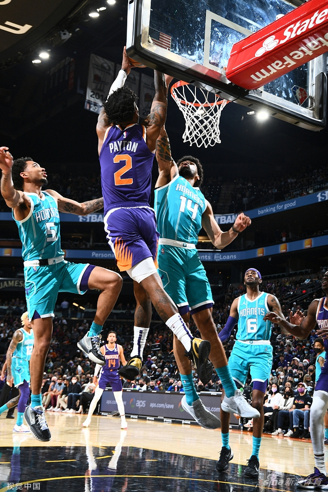 他们不仅在 他们不仅在