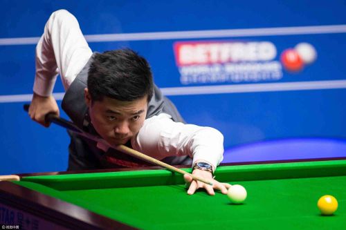 往往能够为 往往能够为