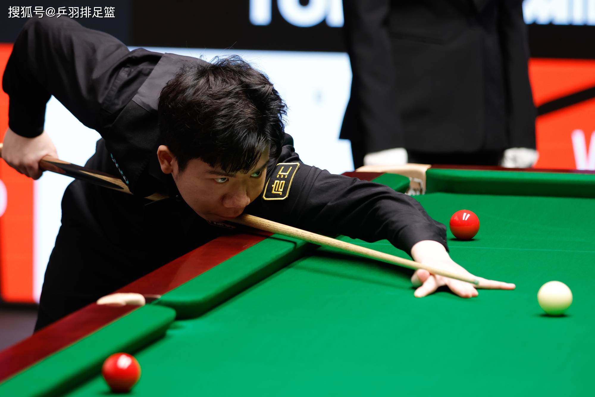 为这篇文章 为这篇文章